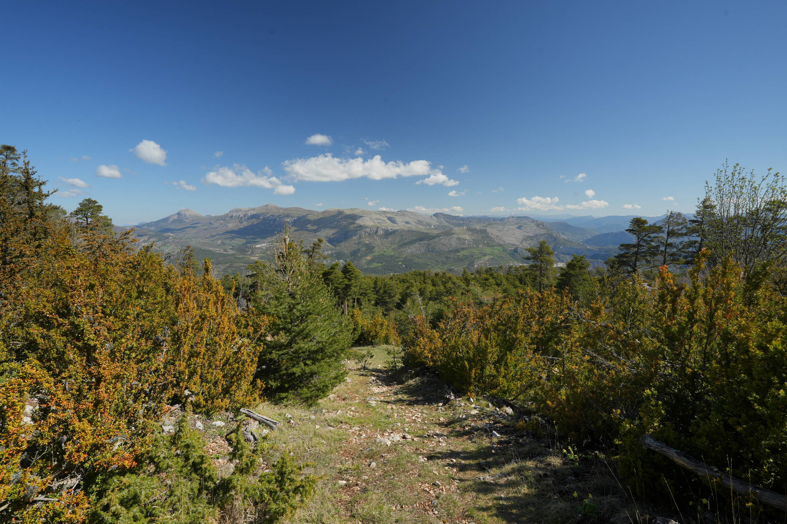 An image of view.